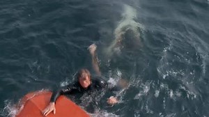 9.2K views · 104 reactions | Swim for your life. Jaws is headed your way tonight at 9PM E/P. | STARZ | Facebook