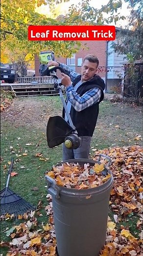 Leaf Removal Trick using a weed Wacker #leaves #leaf #hometips #yardwork #lawncare #tools #yard #diy