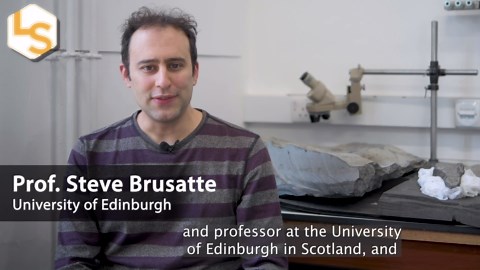 Largest Pterosaur From Jurassic Unearthed In Scotland