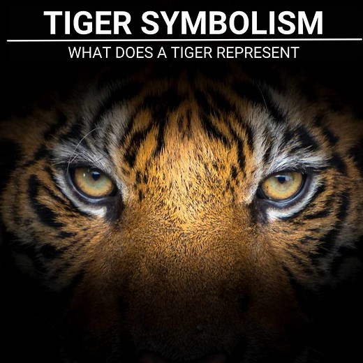 Tiger Spiritual Meaning: Power, Protection & Inner Wisdom