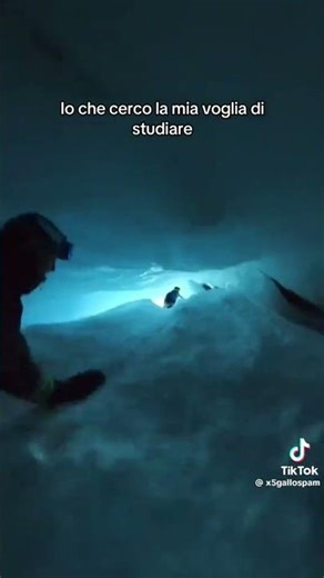 Alla fine l'ho trovate #divertente #scuola #forno #neve