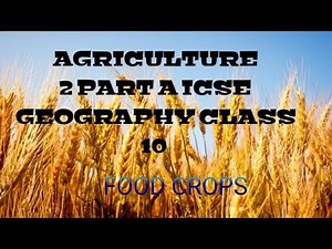 Agriculture in India-I Food crops - 1 Video Lecture | Geography Class 10 ICSE