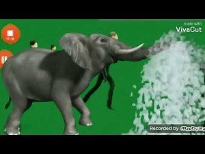 crossover stampede (green screen)