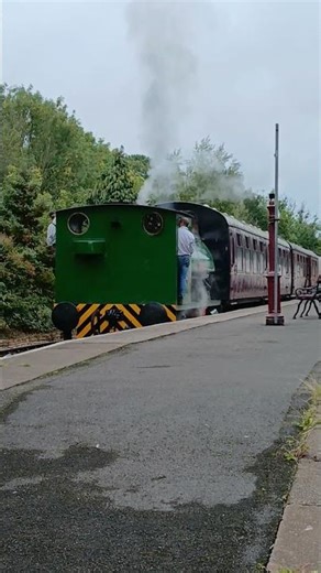 [HD] Surrounded by bird song is Foxfields stunningly restored green saddle tank #Hawarden #WGBagnall