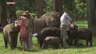 The Duke and Duchess of Cambridge have been feeding baby elephants and rhinos in Assam, India | Sky News
