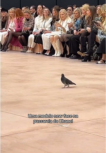Desfile da Chanel 2025: Nova Sensação Parisiense