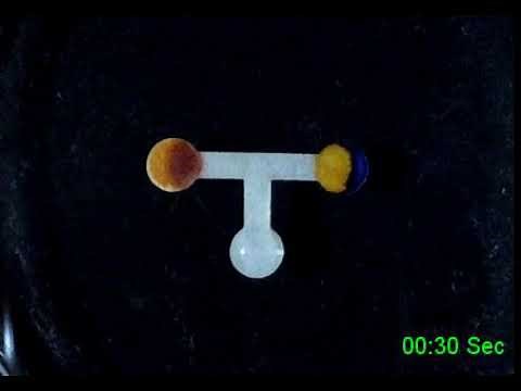 Microfluidic paper analytical devices (µPADs)