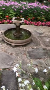 Tour of my garden from a few years ago.I love to use a variety of perennials, shrubs, tropicals, and annuals for a variety of interest. | Ohio Tropics Houseplant and Garden Care