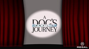 Why wait? Get your tickets now for these titles coming to Regal! 🎟️: https://www.regmovies.com/ | Regal