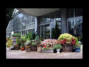 ハッピー・ソング （フランク・ミルズ）