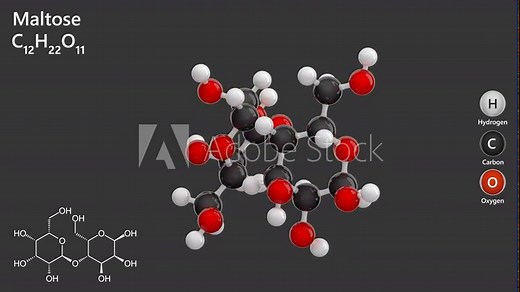 Maltose. Malt sugar. Animated 3D model of a molecule. Molecular formula: C12H22O11. Chemical model: Ball and stick. Gray background. 3D rendering. Seamless loop.