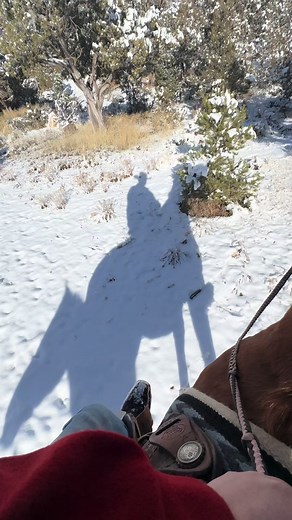 My third monitor. RDR2 in 8K #rdr2 #rdr2reallife #outdoors | third monitor