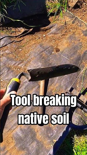 The Curse Of Gardening In Clay Soil