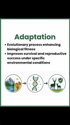 Adaptation Explained 🌍 | UGC NET & MSc Environmental Science