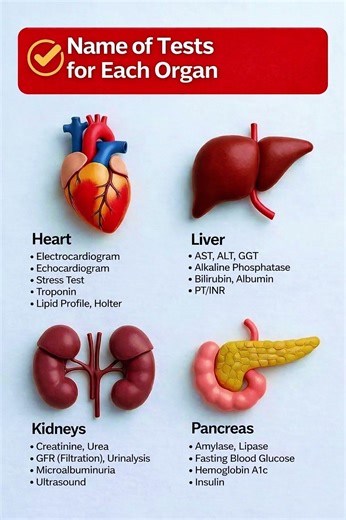 Common Medical Tests for Every Organ 🩺 #checkup #liverhealth #medicaltests