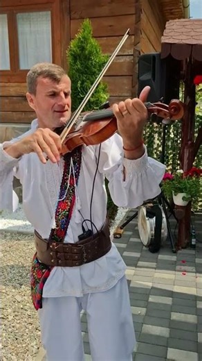 Fratii Sicuta – Cetera care incanta