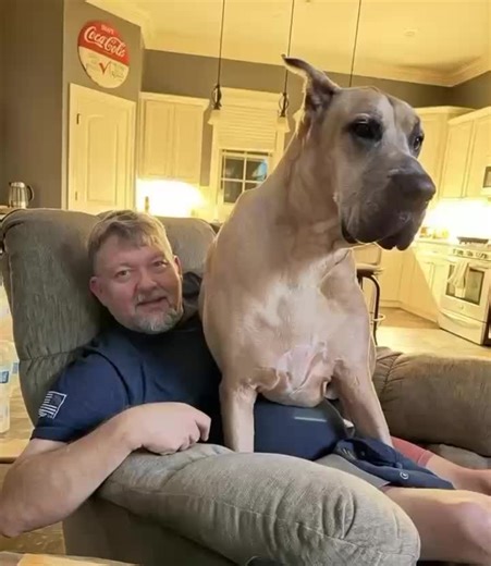 Love this! Just missing my Scooby today!