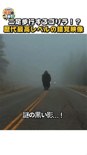 道路に現れたビッグフット！？近づいてみたらヤバすぎた…