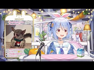 【兎田ぺこら】可愛い☆ジルくんの近況を語るぺこらちゃん 2024/02/11(Cパート)【ホロライブ切り抜き】