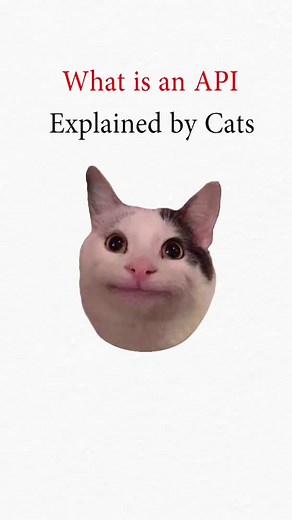 API explained by cats #softwareengineer #api #cloud #kitty #explained