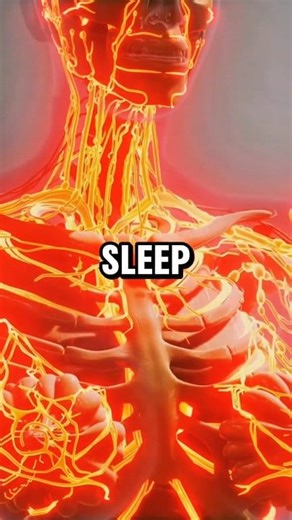 Did You Know Sleep is an essential and involuntary process, without which we cannot function effectively. It is as essential to our bodies as eating, drinking and breathing, and is vital for maintaining good mental and physical health. Sleeping helps to repair and restore our brains, not just our bodies. Experts recommend adults get at least 7 hours of sleep per night for better health. What is the 10 5 3 2 1 Sleep Rule? Eliminate caffeine 10 hours before sleep. Cut alcohol 3 hours before bed. S
