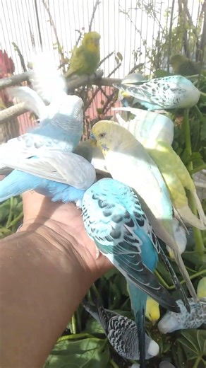 Was sagt dir sein Körper hier