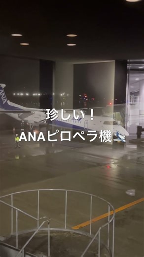 珍しい❗️ANAプロペラ機🛩️ #全日空 #プロペラ機