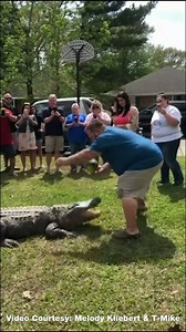 GATOR GENDER REVEAL: This Louisiana family put a whole new meaning to the phrase "jaws of life," as they used an alligator to reveal the gender of their baby. With one powerful chomp, the gender was revealed! 🐊👶 STORY: https://bit.ly/2E4TL65 VIDEO: Melody Kliebert & T-Mike | FOX 35 Orlando