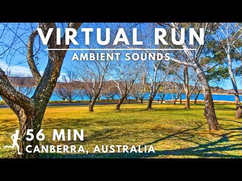 Canberra Australia 🇦🇺 | Sunny Virtual Run Through Wetlands & City | 56 Min Treadmill Run #virtualrun