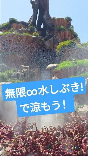 【もう暑すぎ！】スプラッシュ・マウンテン“もっと！びしょ濡れMAX”【Summer Cool-Off】 #ディズニーランド #夏ディズニー #tdl #disney