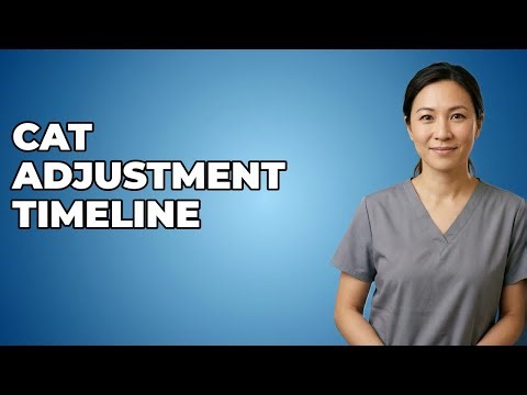 How Long Does a New Cat Take to Adjust?