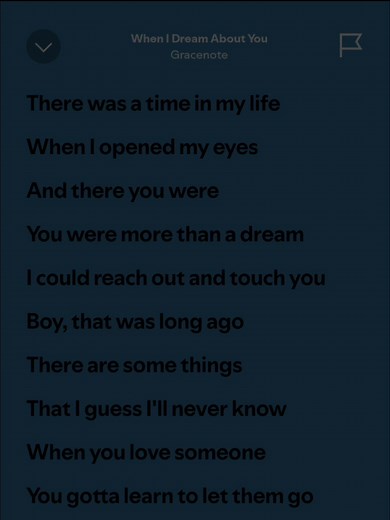 Full Lyrics of 'When I Dream About You' Song by Gracenote