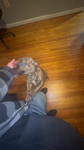 She is just so abusedddddd | Robbie Wells