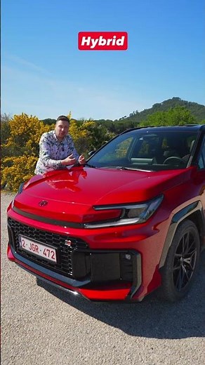Die WELT LIEBT den Toyota RAV4...warum eigentlich?