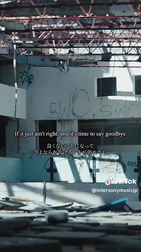 この曲、何回聴いてもなんか泣ける🥺アラン・ウォーカー「All Falls Down」#洋楽 #おすすめの曲 #歌詞動画