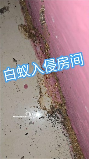 Pandan 区 消灭白蚁服务屋主自己处理白蚁问题，导致白蚁扩散到太多区域后，最后决定安装白蚁诱饵灭窝。Ableddin Solutions