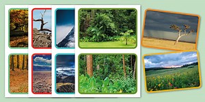 Land Habitats Photo Pack