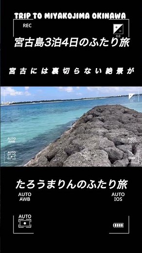 宮古島3泊4日のふたり旅 #shorts #宮古島 #シニア #宮古ブルー #池間島 #来間島 #伊良部島 #下地島 #池間ブルー #観光 #タコ公園 #離島