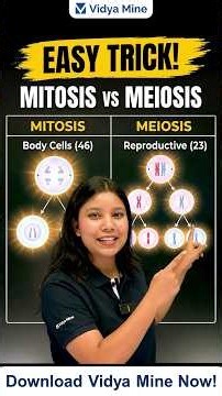 Mitosis vs Meiosis in 2 Minutes! | 46 vs 23 Chromosomes Easy Trick