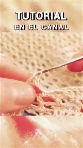 Crochet Fan Stitch Border Mastery 🧶 Beginner's DIY Tutorial #Crochet #DIY