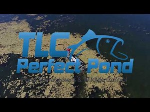 TLC Perfect Pond Informational Video