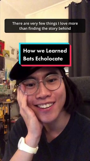 Discover How Bats Echolocate | Science 101 Explained