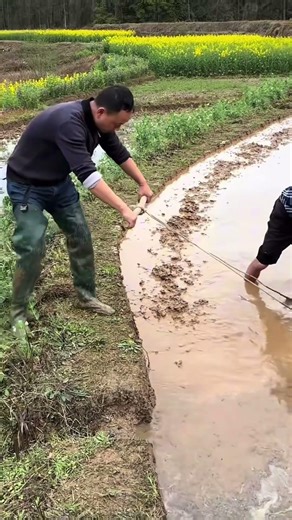 Month-by-Month Vegetable Gardening Guide