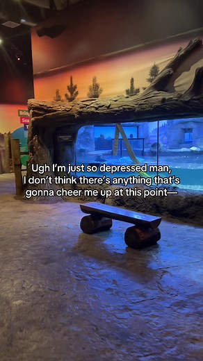 Meet Ozzy & Ola: The Adorable Sea Otters at SEA LIFE Birmingham
