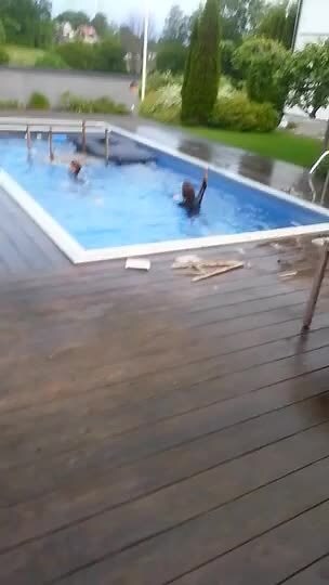 Guy Crashes into Pool Using Table as Diving Board