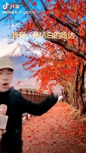 哈哒是藏族和部分蒙古族人民在敬神以及欢迎、馈赠等日常礼节交往上使用的丝巾。赠送哈达是表示敬意和祝贺