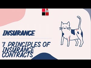Principles of Insurance | 7 Insurance Principles | Insurance Contract | IT#6