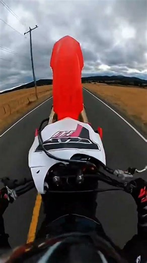 Wheelie Gone Wrong! 😱 Epic Motorcycle Wipeout 🏍️💥