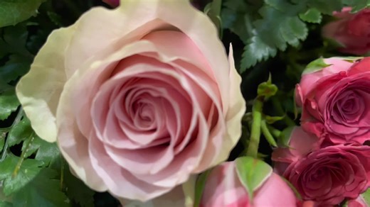 #wimberlyfuneralhome #wimberly #wfh #gainesvillega #funeralservice #service #fyp #foryoupage #Caskets #Embalmers #Embalming #Mortician #Undertaker #foryoupage #Serving #Celebrationoflife #Celebratinglife #excellent #funeraltok #funeraltiktok