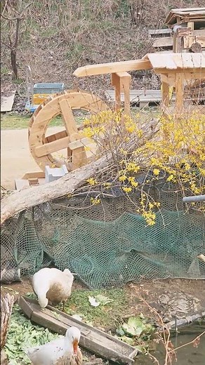 암소개 갈매리 1구